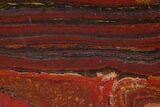 Polished Tiger Iron Stromatolite - Billion Years #129212-1